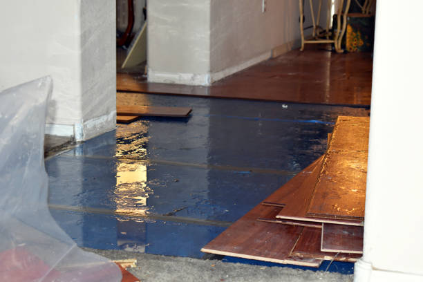 Professional Basement Flood Cleanup technician working in Lawn, PA